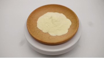 Lactobacillus Casei