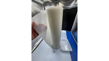 TL-PP-899 Translucent PP Film: Transforming Tableware Packaging and Architectural Aesthetics