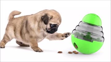 swing ball food dispensing feeders for dog