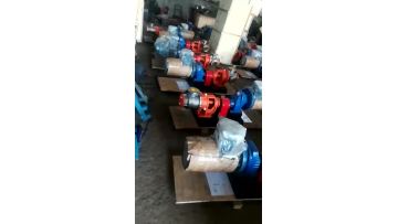 Nyp High Viscosity Type Internal Rotory Chemical Hydraulic Gear Oil Pump1