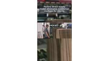 Video 4
