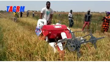 4LZ-1.2B mini rice combine harvester(red)