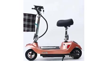 Hight Quality Adult 24V Battery Folding Electric Scooter1