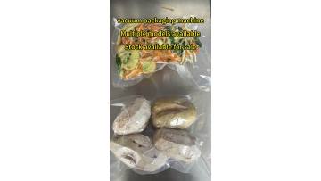 Vacuum packaging machine vacuum packer for food