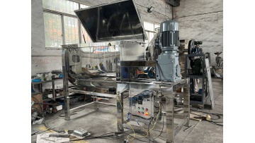 WLDH Horizontal powder ribbon blender