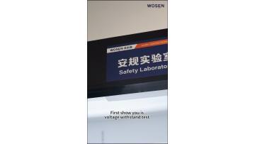 Withstand voltage + ground resistance