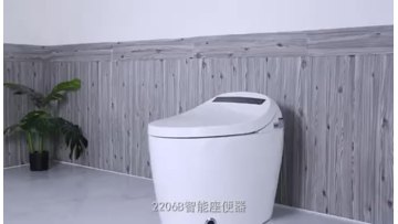 smart toilet 2206B