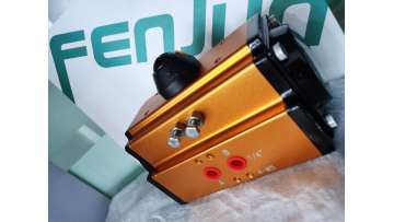 Gold pneumatic actuator test