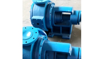 China Jinhai Pump Industry  Food rotor pump, stainless steel CAM pump1