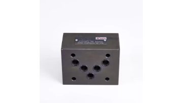 Z1S10P check valve