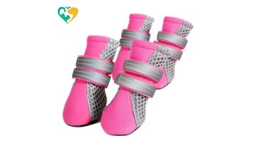 pet shoes in adopt me