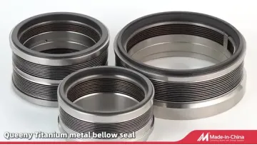 Corrosion Resistance Qt Bel03-101 Metal Bellow Mechanical Seal1