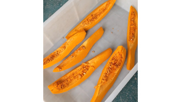 Pumpkin Splitting Machines