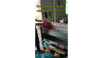 Small potato peeling and cutting machine