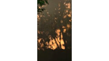 b221817c2feee9ec5de62588b978c3ab