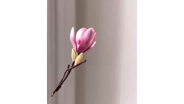 Magnolia niche velvet brooch
