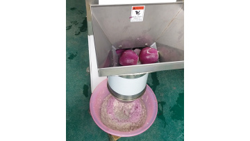 Garlic Crushing Machine 