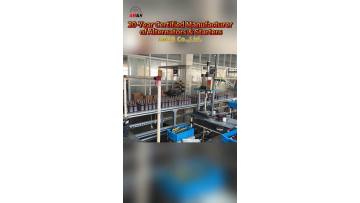 Long Term Auto Electric Partner for Your Wholesale Business
