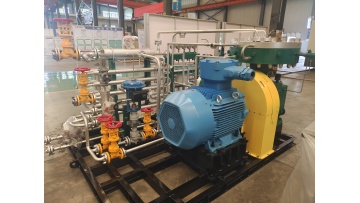 GL1 chemical gas compressor
