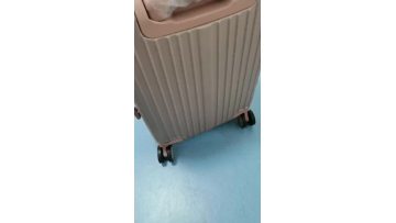 ABS luggage