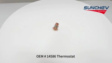 14586 Thermostat 