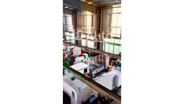 1D Piston automated processing video