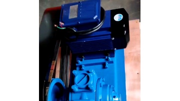 Liquefied Petroleum Gas electric motor LPG transfer pump1