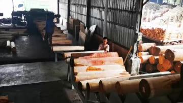 Single board rotary cutting machine 3