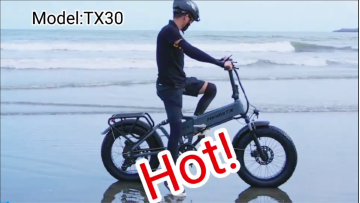 model：TX30 306c