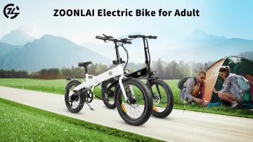 ZM06 Electric Folding Bike