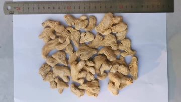 Ginger whole Outdoor natural light