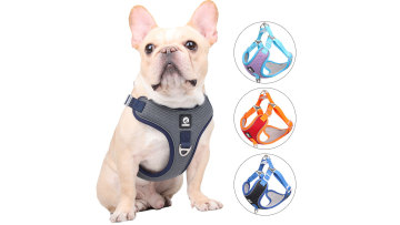 harness for large dog