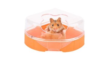 hamster toliet