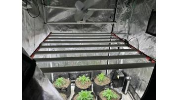 M800 LED Grow Light