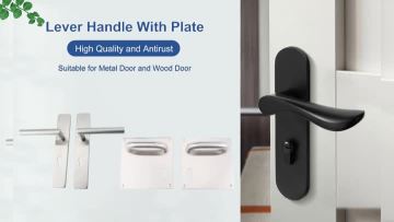 Door Handle with Plate