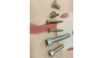 Screws and Bolts