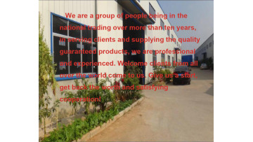 Brief of KR Earnest company