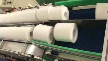 Toilet Paper 2ply