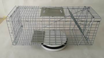 How to Catch a Cat Liebang 26 inch Steel Rodent Trap Cage for Stray Cats Rabbits Raccoons1