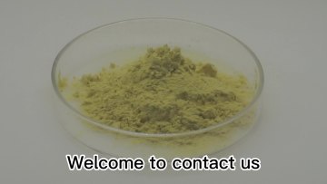 Factory Direct Pure Natural Pure Natural Luteolin Powder Sophora Japonica Extract 98% Luteol1