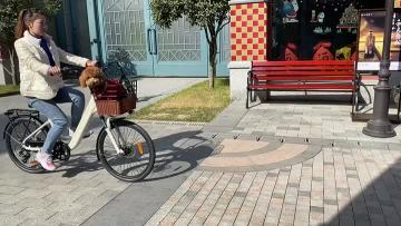 LC01EZ E Bike Video