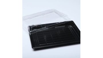 Disposable Clear Plastic Bowls 