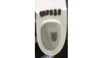 washdown one piece toilet 8258 flushing