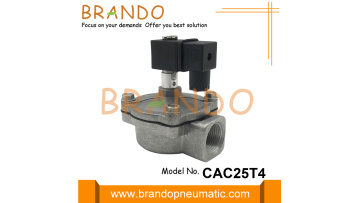 CAC25T4 Pulse Valve