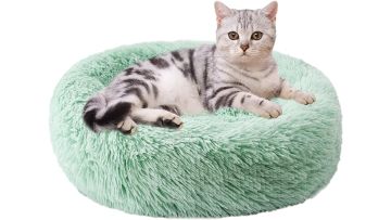 Cat Bed Round Cushion and Sofa