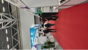 Greater Bay Area Exhibition video