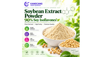 Soybean Extract Powder 90% Soy Isoflavones