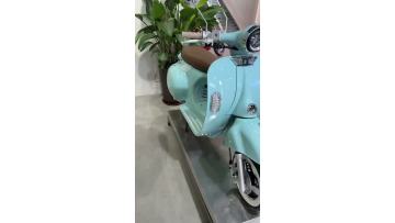 style electric scooter for vacation