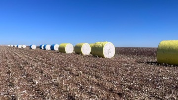 Cotton Wrap Film