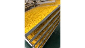 FD CORN.MP4